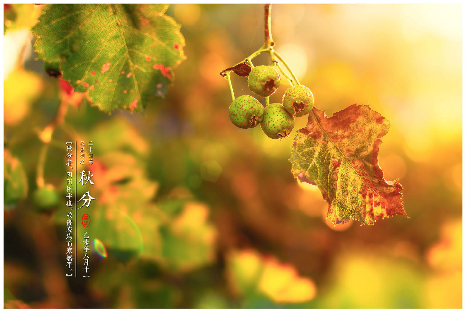 20160922170901_6240.jpg 20160922170901_6240.jpg